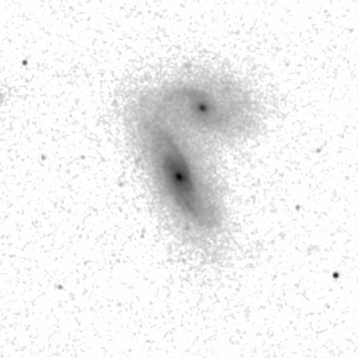 IRSA Image