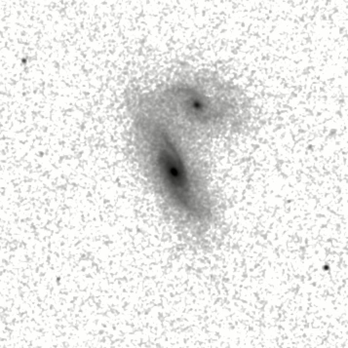 IRSA Image
