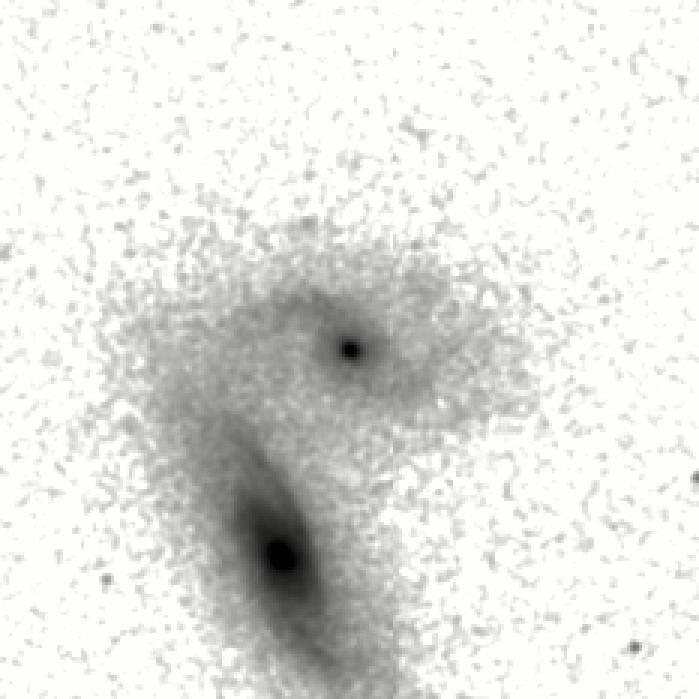 IRSA Image