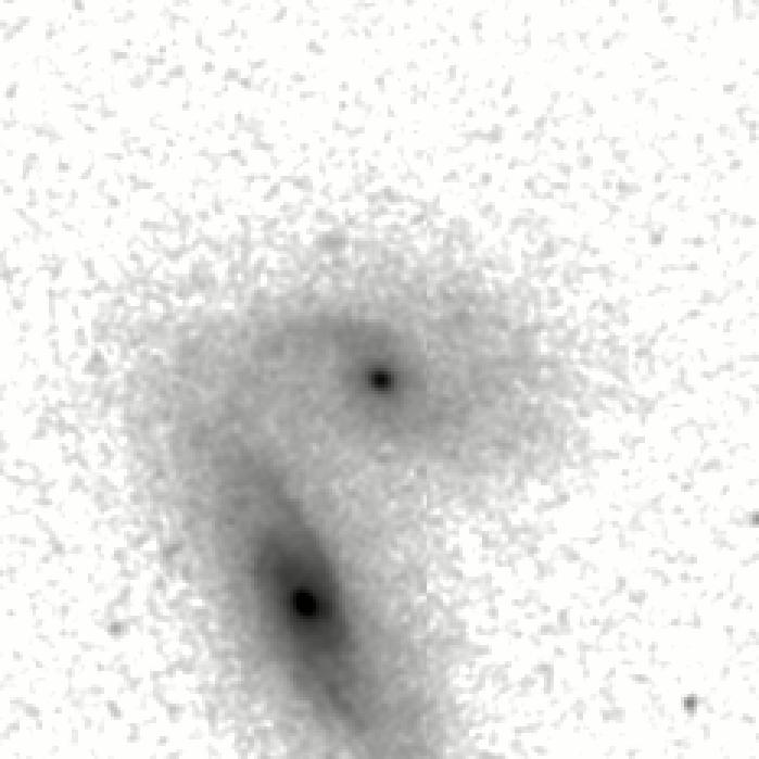IRSA Image