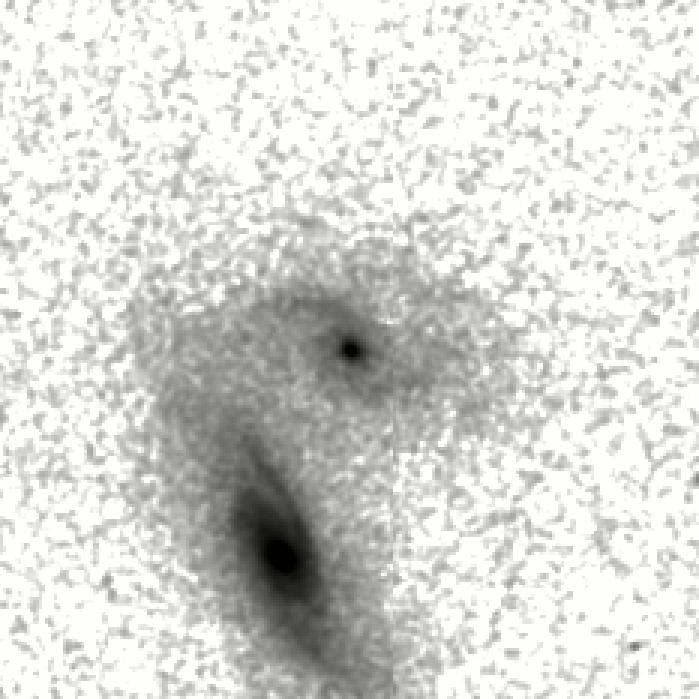 IRSA Image