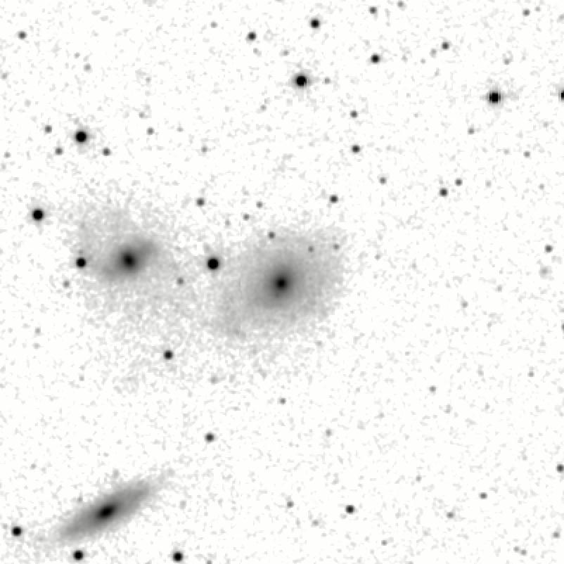 IRSA Image