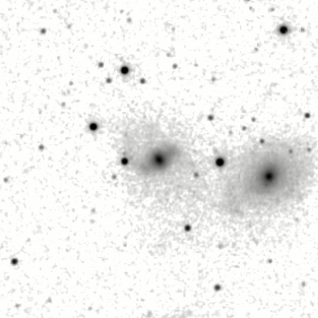 IRSA Image