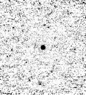 IRSA Image