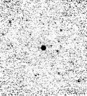 IRSA Image