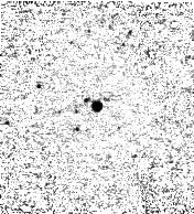 IRSA Image