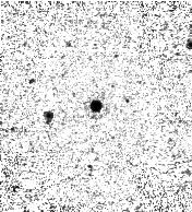 IRSA Image