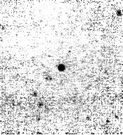 IRSA Image