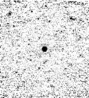 IRSA Image