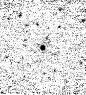 IRSA Image