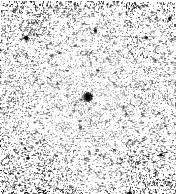 IRSA Image