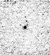 IRSA Image