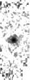 IRSA Image