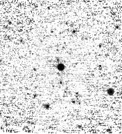 IRSA Image