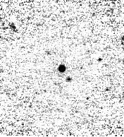 IRSA Image