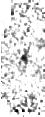 IRSA Image