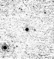 IRSA Image