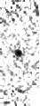 IRSA Image