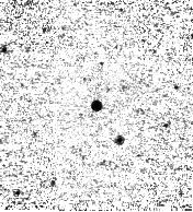 IRSA Image