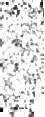 IRSA Image