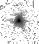 IRSA Image