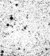 IRSA Image
