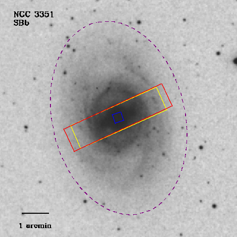 IRSA Image
