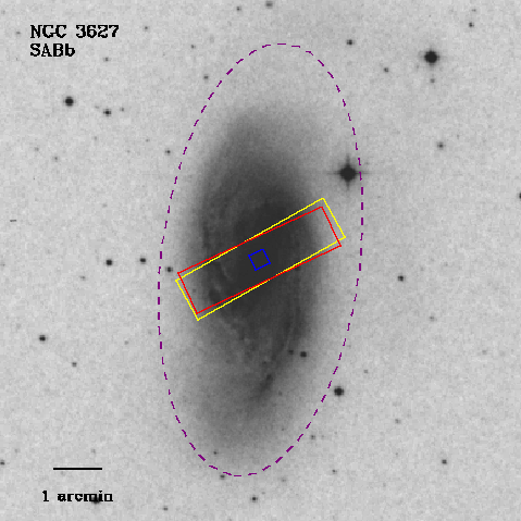 IRSA Image