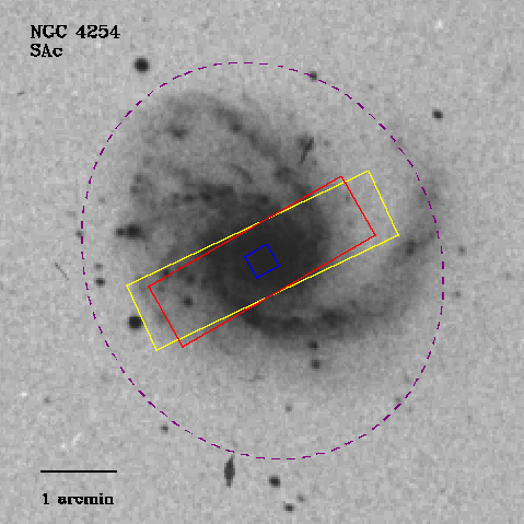 IRSA Image