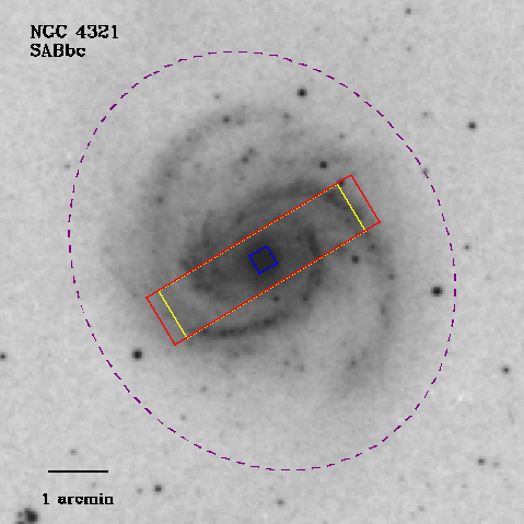 IRSA Image