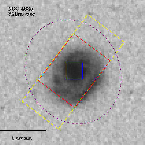 IRSA Image